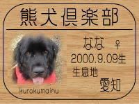 juntaro�����BLOG��GO!